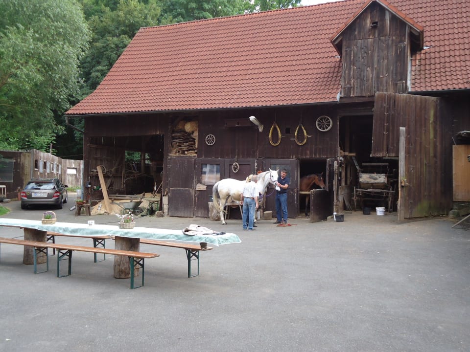 Ausblick vom Hotelzimmer Landhotel Schwärzhof