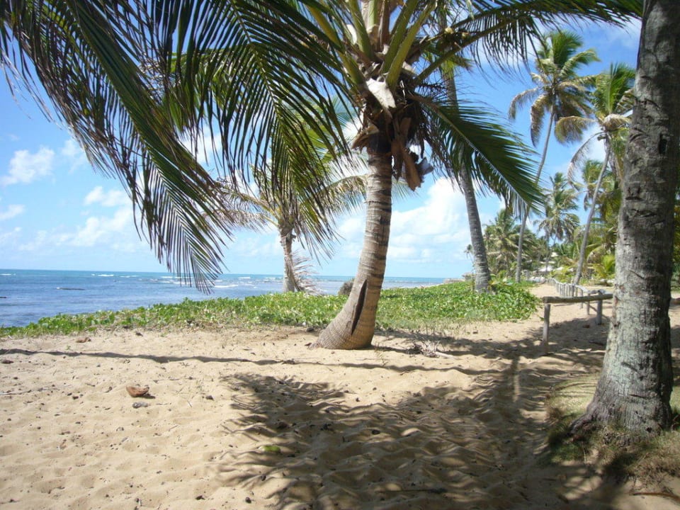 Schattenspender Hotel Porto Zarpa