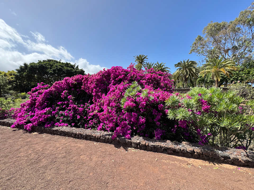 Sonstiges TRH Taoro Garden