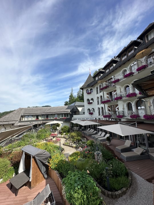 Ausblick Waldhof Fuschlsee Resort