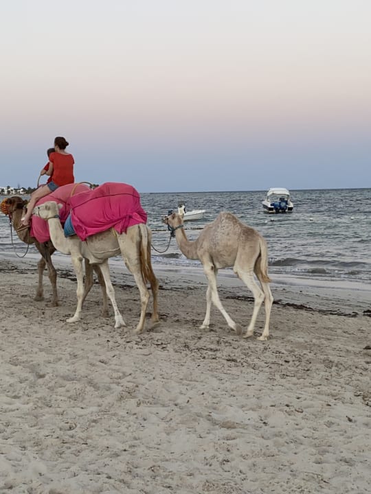 Außenansicht Royal Karthago Djerba