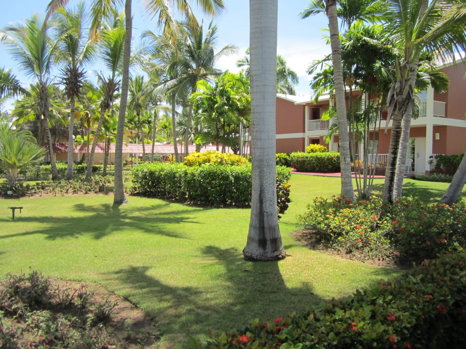 Tropische Vegetation Grand Palladium Select Bávaro Resort & Spa