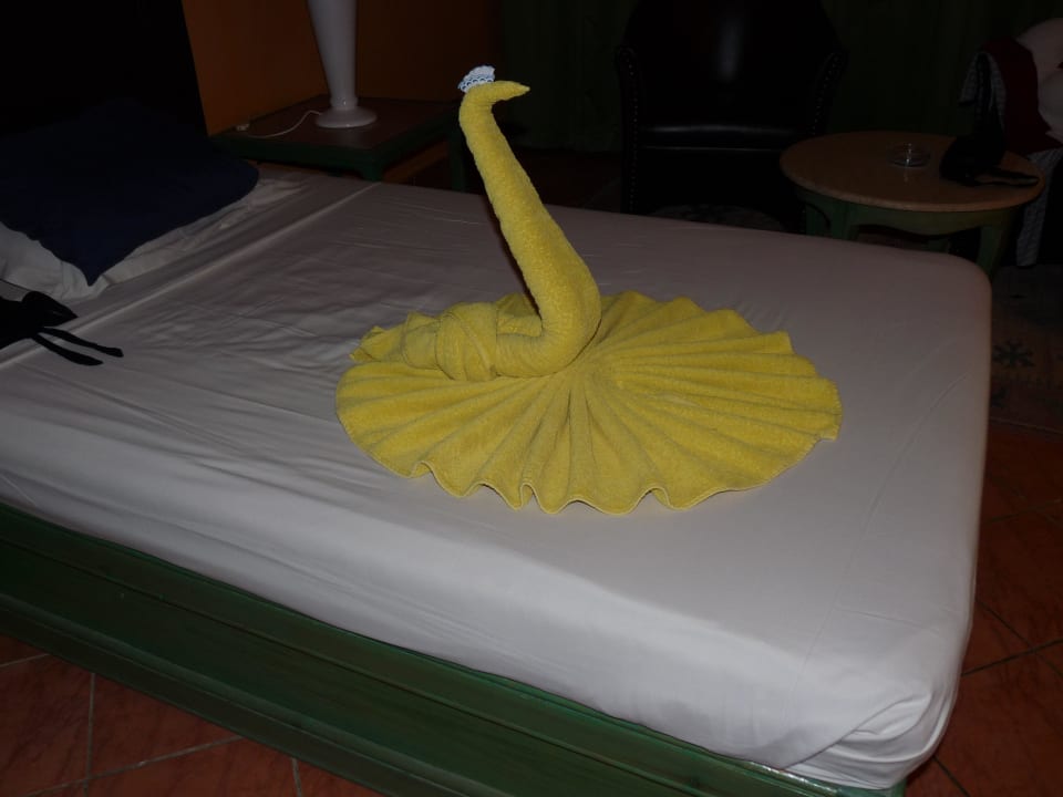Das war nicht der sterbende Schwan Arabia Azur Resort