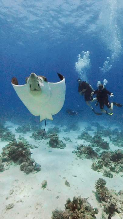 Strand Cleopatra Luxury Resort Makadi Bay