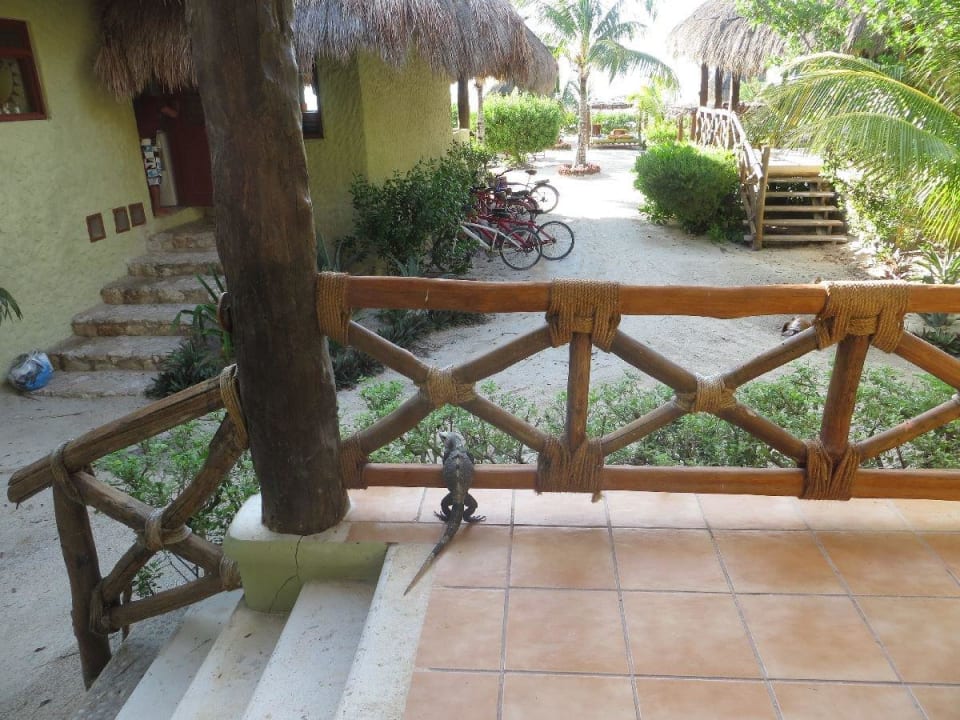 Besuch Hotel Villas Flamingos