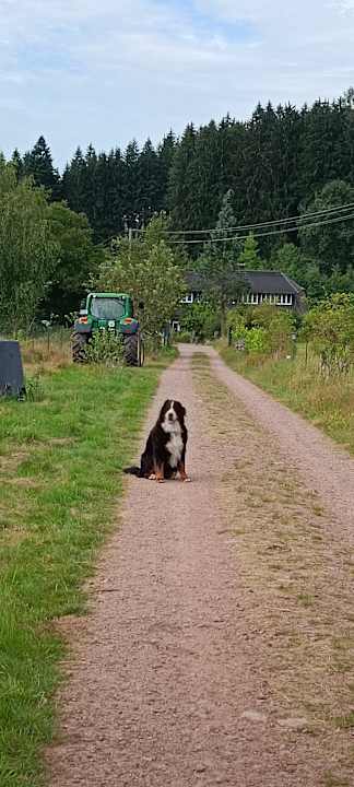 Außenansicht S'Fleckli Bioland Ferienbauernhof