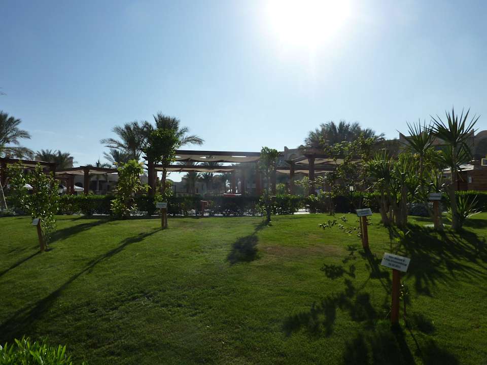 Unsere Traumoase... Jaz Makadi Gardens - TUI BLUE Makadi Gardens - Adults Friendly 16 Years Plus