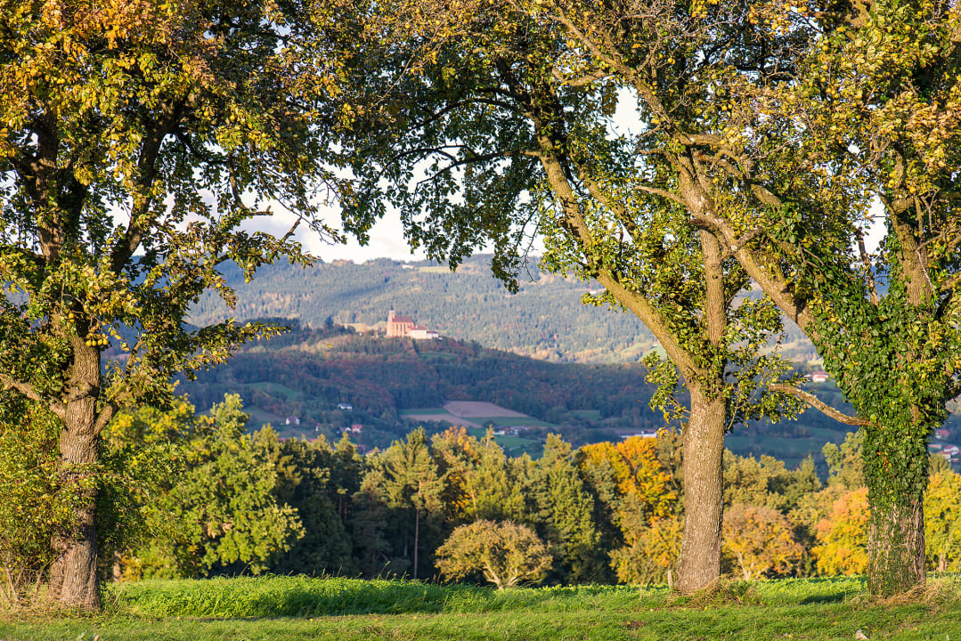 Sonstiges Zur Grünen Au
