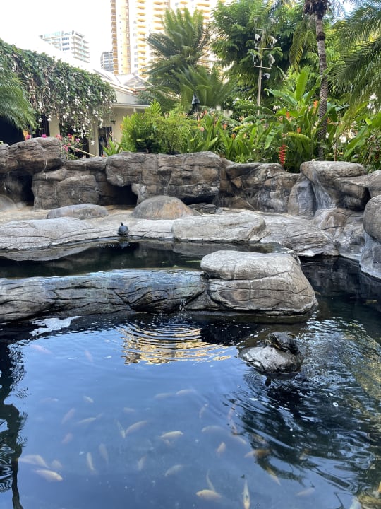 Gartenanlage Hilton Hawaiian Village Waikiki Beach Resort