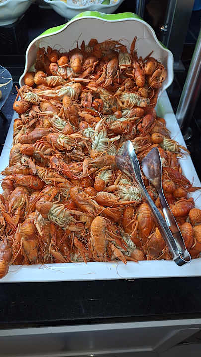 Gastro Hotel Royal Garden Beach
