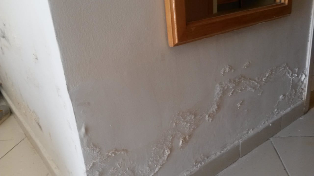 Schimmel der aus der Wand wächst Sidi Mansour Resort & Spa