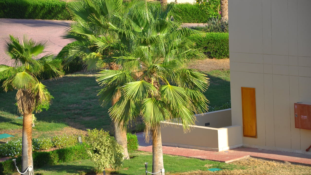 Aus dem Zimmer Cleopatra Luxury Resort Makadi Bay