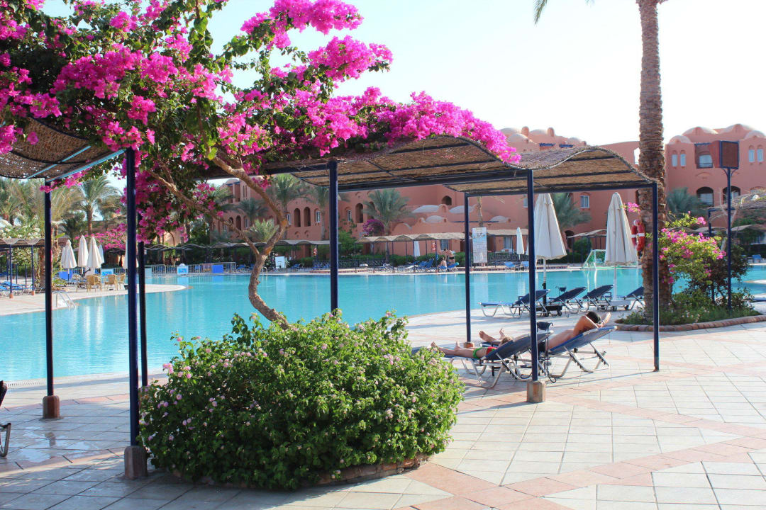 Вид на бассейн от центрального  бара Jaz Makadi Oasis Resort