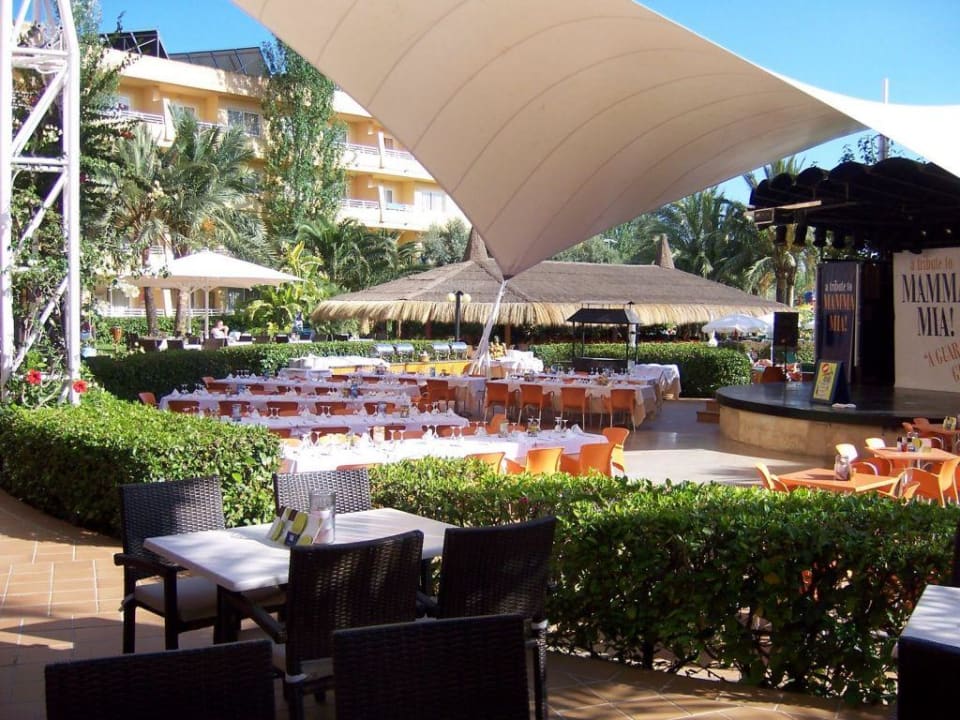 Abendbuffet im Garten Zafiro Palmanova