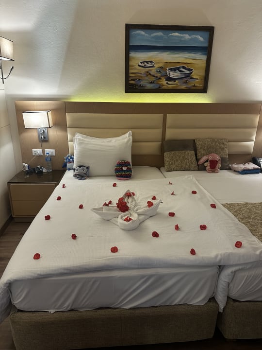 Zimmer Pickalbatros Citadel Resort