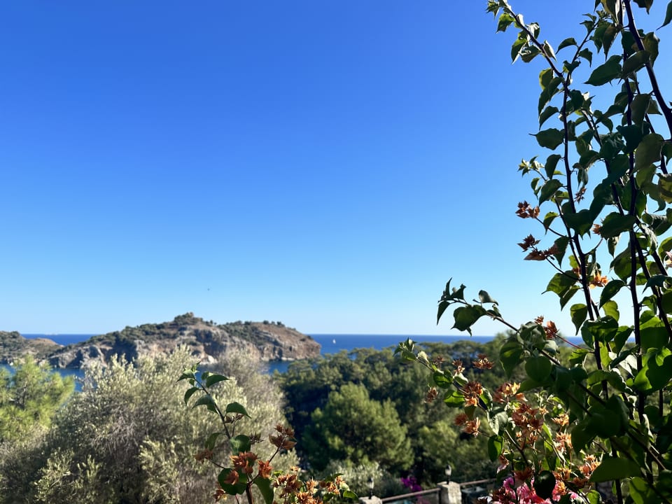 Gartenanlage TUI BLUE Seno - Adults Only