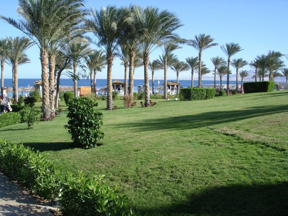In der Anlage Rixos Sharm El Sheikh Adults Only 18 +