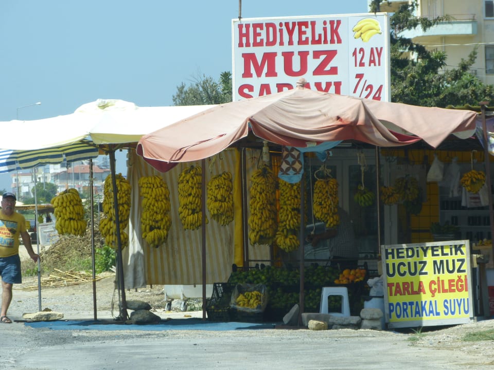 Напротив отеля. Granada Luxury Okurcalar