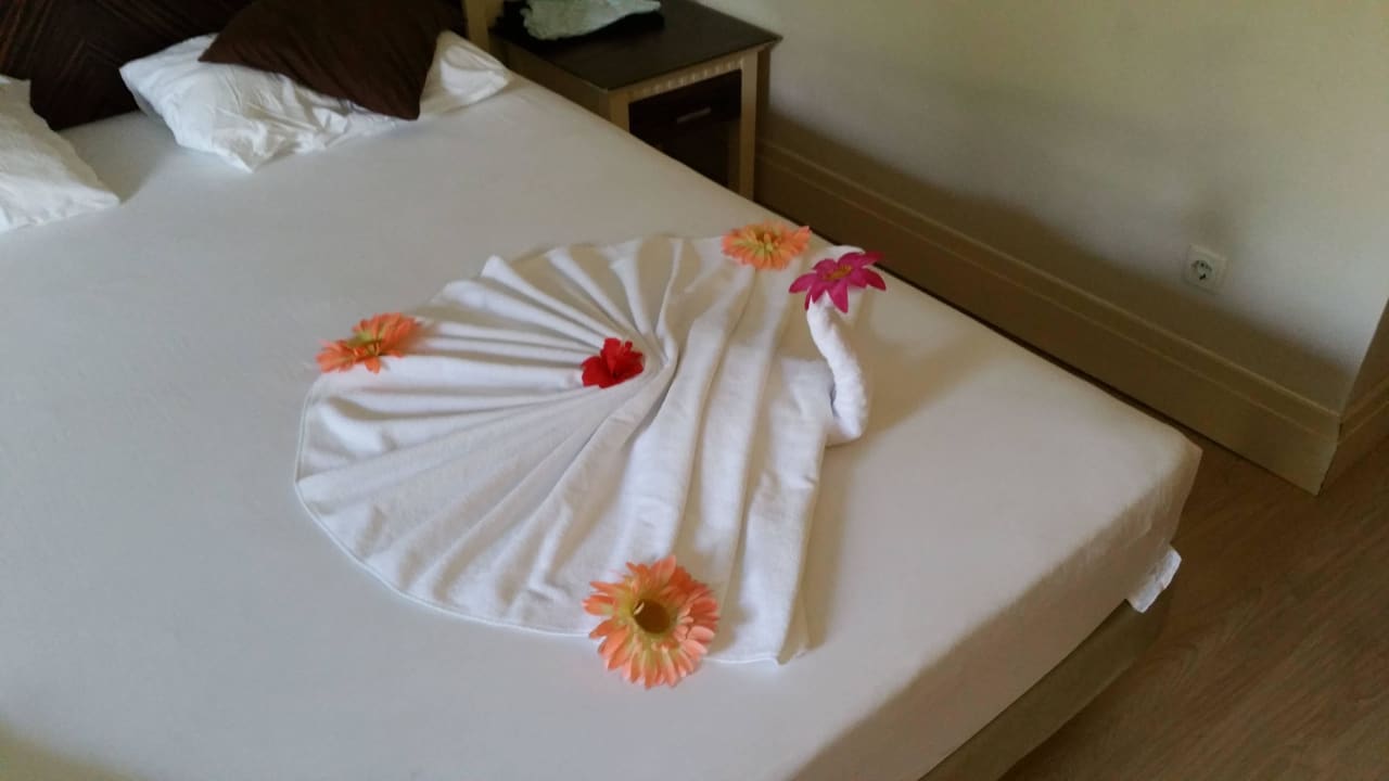 Fast jeden zweiten Tag etwas anderes Aydinbey Kings Palace & Spa