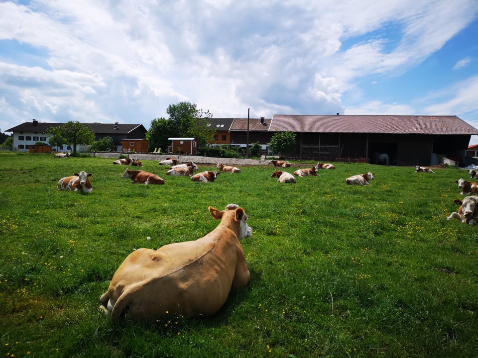 Außenansicht Ferienparadies Reifnhof