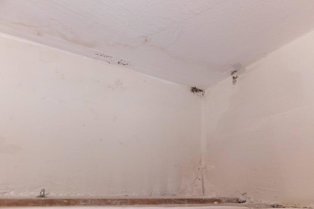 Ecke rechts über der Eingangstür Seramar Hotel Comodoro Playa