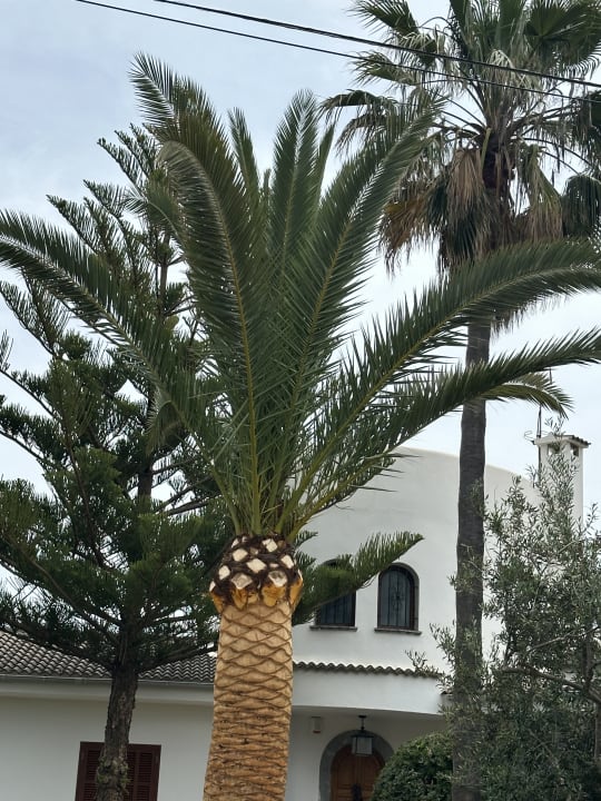 Gartenanlage Hotel Exagon Park