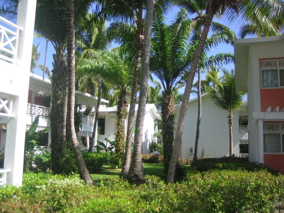 Wohnanlage Hotel Riu Palace Bavaro
