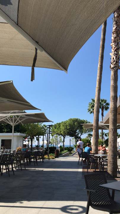 Gastro Acanthus Cennet Barut Collection