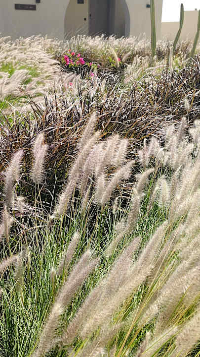 Gartenanlage SUNRISE Anjum Resort Marsa Alam