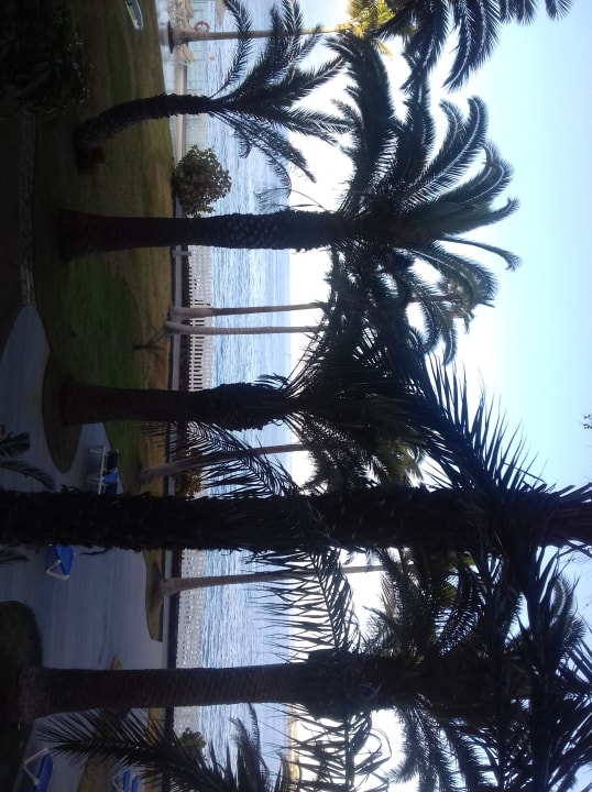 Außenansicht Melia La Palma Hotel