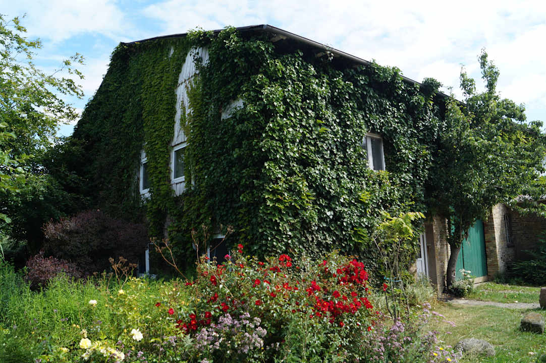 Große Ferienwohnung Ferienhof Mittenmang
