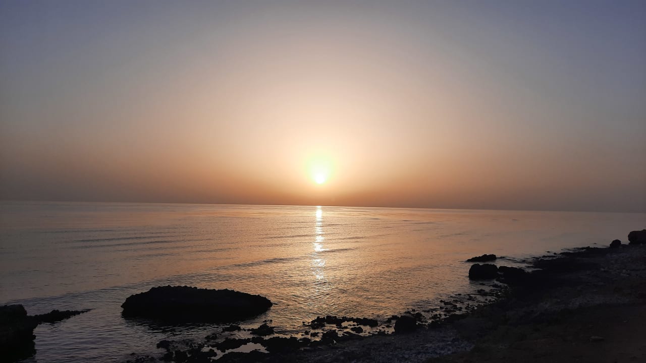 Ausblick Coral Sun Beach