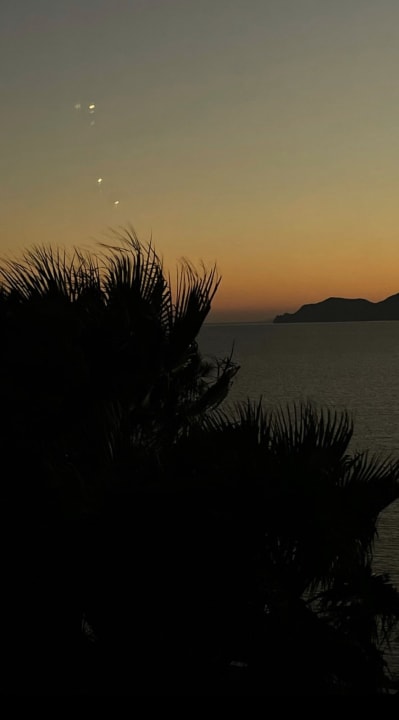 Ausblick ROBINSON DAIDALOS