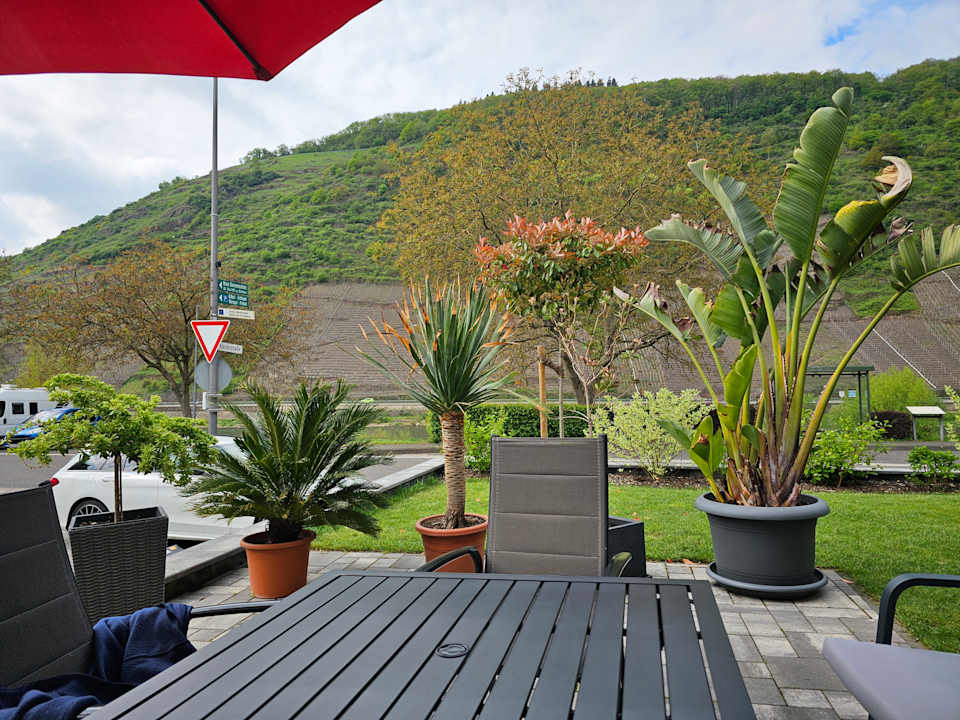 Ausblick Ferienweingut Andries