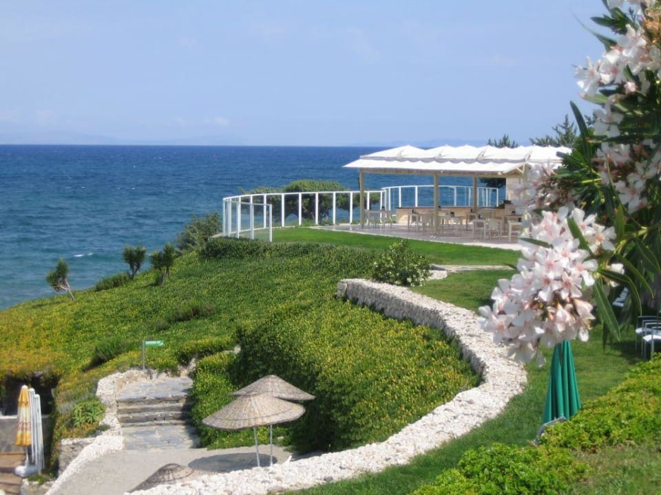 Snack Bar Hotel Babaylon