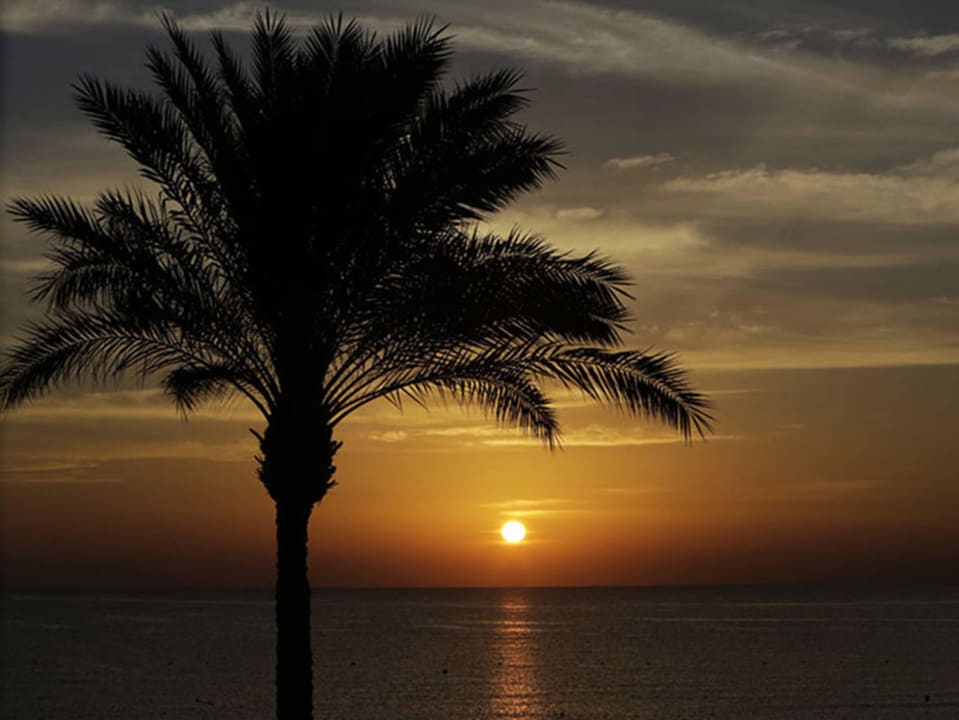 Sonnenuntergang Makadi Spa - Adults only