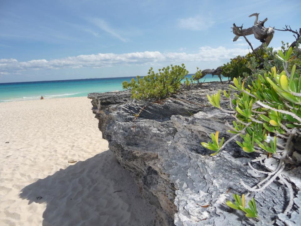 Strand rechts des Hotels Hotel Riu Tequila
