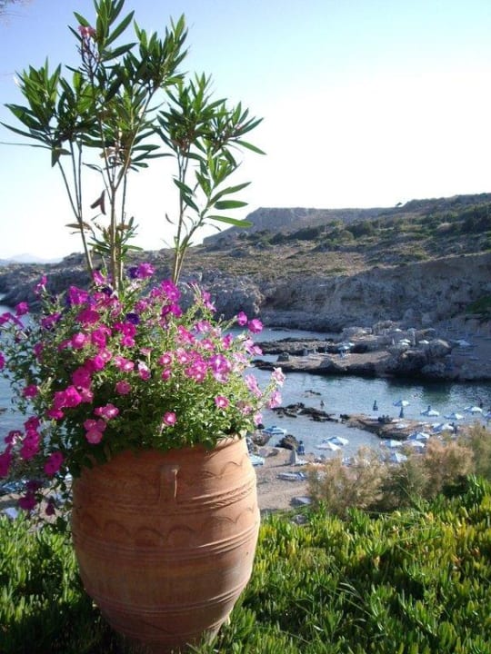 Weg zum Strand Hotel Kalithea Horizon Royal