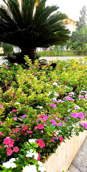 Gartenanlage VONRESORT Golden Beach