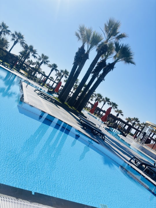 Pool Megasaray Club Belek