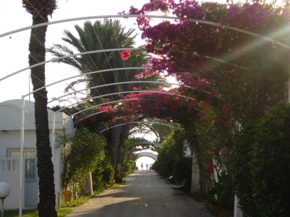 Weg zum Strand El Mouradi Club Kantaoui