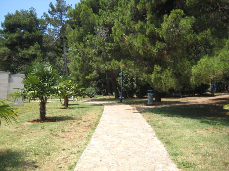 Der Weg zum Strand Valamar Parentino Hotel