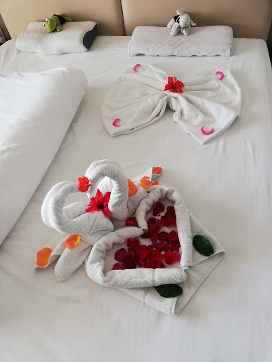 Zimmer One Resort Premium Hammamet