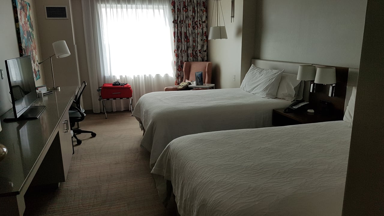 Zimmer Hilton Garden Inn Miami Dolphin Mall