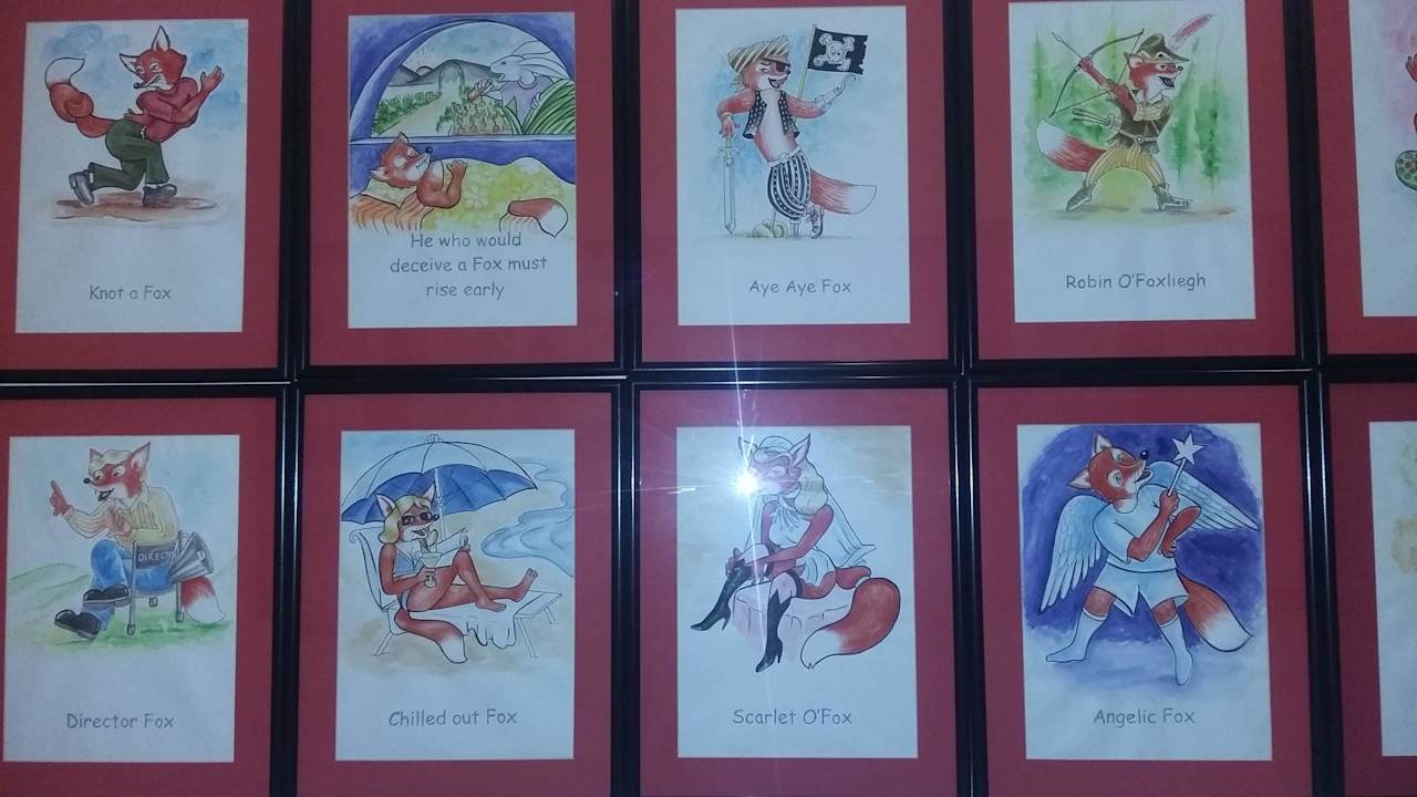 Przygody Red Foxa Hotel Red Fox - Jaipur