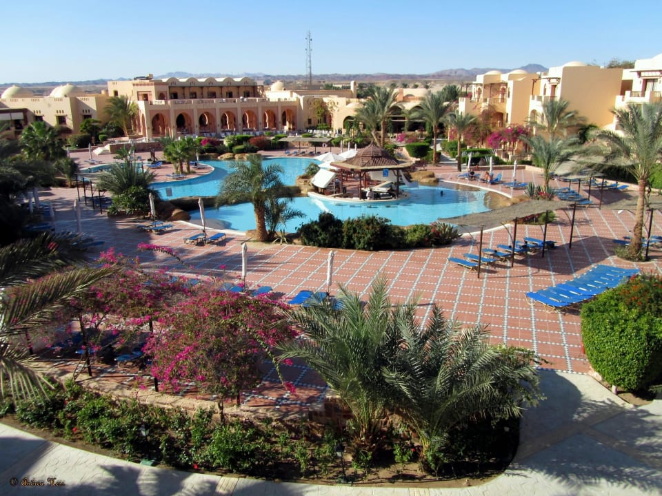 Blick vom Zimmer Steigenberger Coraya Beach - Adults only