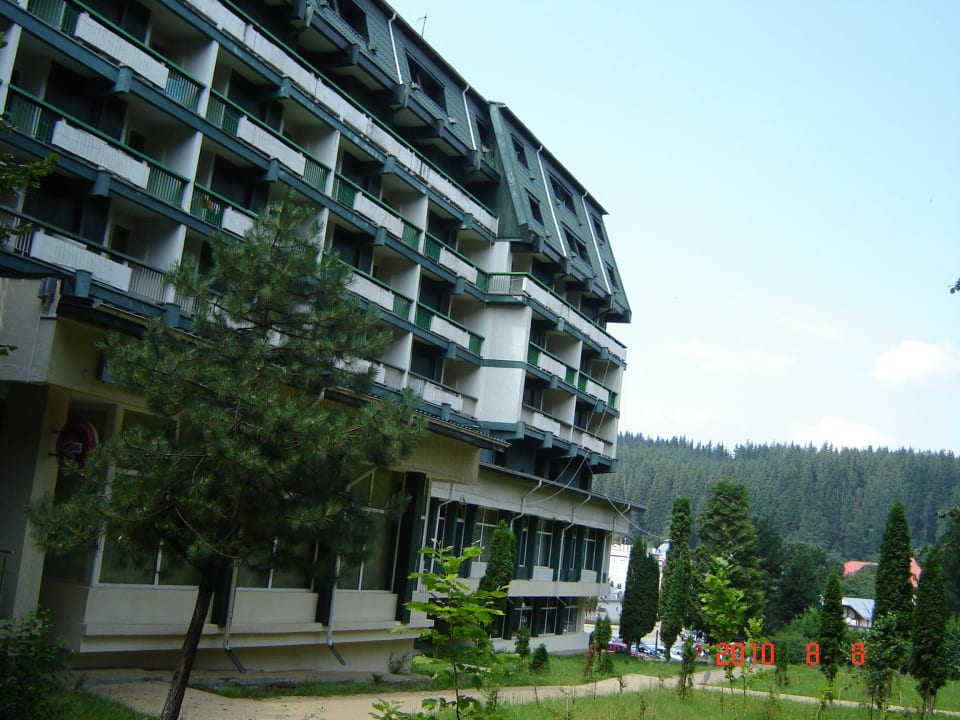 Hotel Bradul Hotel Bradul
