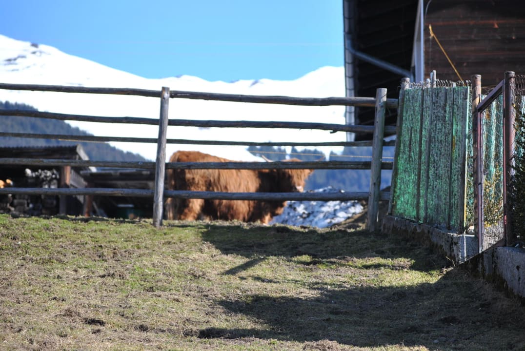 Nur wenige Meter oberhalb des Hotels Panoramagasthof-Hotel Hohe Brücke