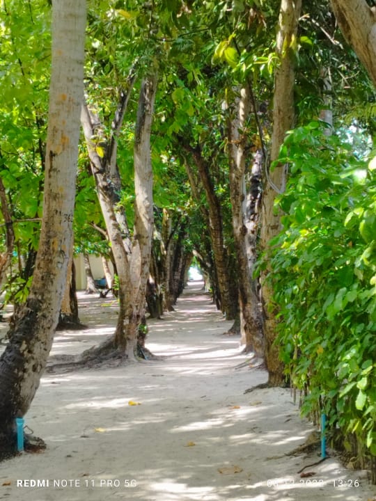 Gartenanlage Embudu Village
