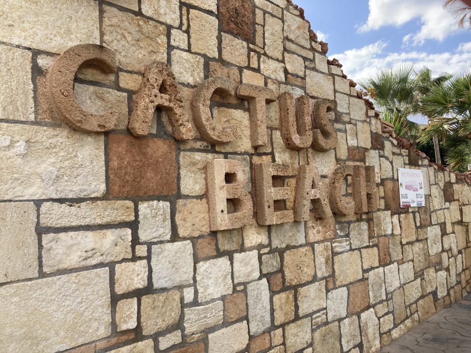 Sonstiges Cactus Beach